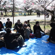 陸上自衛隊土浦駐屯地で戦車と一緒にお花見をしてきた