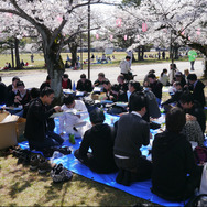 陸上自衛隊土浦駐屯地で戦車と一緒にお花見をしてきた