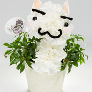 トロのフレッシュフラワーアレンジメント