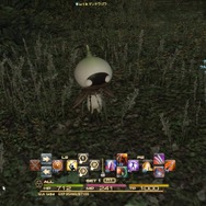 PS4で『FF XIV: 新生エオルゼア』ってどうなの?実際のSSと動画で紹介