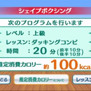 シェイプボクシング Wiiでエンジョイダイエット!
