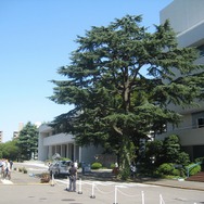 CEDEC 2008が開幕〜3日間で約100セッションが予定