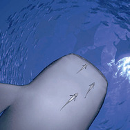 「体験!プレイステーション」秋は新宿で開催