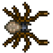 『テラリア』アイテム1,200種類以上、ボス4体追加などの大型アップデートを6月2日に無料で実施