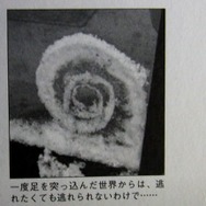 窓に「ドリームキャスト」のような模様ができたと報告した回。セガについて語った回も多いか。