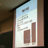 【CEDEC 2008】PixelJunk Edenにおける植物制御に関する技術解説