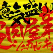 お待たせしました!『P4U2』中学2年になった天田乾とコロマルの映像をお届け、新モードも発表
