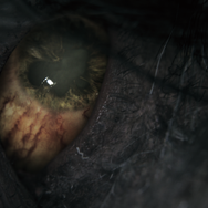 【E3 2014】SCE×フロム完全新作『ブラッドボーン』の鍵は「未知の探索」、実機デモで新情報続々