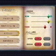 オプション画面のVOICEを今すぐチェック