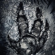 【E3 2014】新たなモンスターに圧倒されたデモプレイ『Evolve』インプレッション