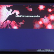 【SEGAコンシューマ新作発表会2008秋】ニンテンドーDSで展開される強力RPG群(1)