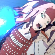 『ナルティメットストームレボリューション』予約特典としてJSAT2013で限定公開されたアニメ「サニー・サイド・バトル!!!」が付属