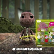 Little Big Planet
