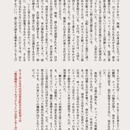 スペシャルブックレット 小説