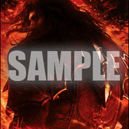 シリーズ最新作『悪魔城ドラキュラ Lords of Shadow 2』発売決定