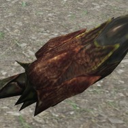 特殊な形状をした尾の先端。 この尾を地面へ突き刺す事があり、その行動は竹の地下茎へなんらかの影響があると考えられている。