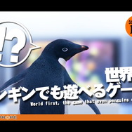 ペンギンでも遊べるゲーム!? 中裕司氏の新作タイトルがTGSで発表に!?