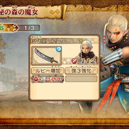 バトルで手に入れた武器の確認画面