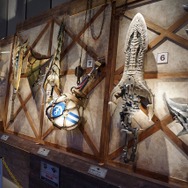 「モンスターハンター展」の内部に潜入!初代『MH』構想時の資料やUSJによる造形物などがビッシリ!