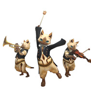 ニコ生にて生中継も決定！