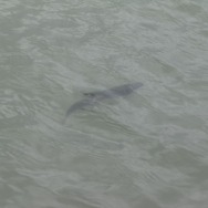 『MH』開発陣と渋温泉の魅力を再発見！8月31日まで開催されるグランドフィナーレのみどころは？(前編)