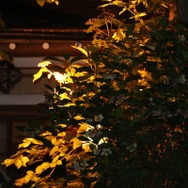 『MH』開発陣と渋温泉の魅力を再発見！グランドフィナーレ夜の渋での楽しみかた(後編)