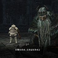 『Dark Souls II』追加DLC第2弾の内容紹介とスクリーンショットが多数公開