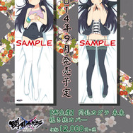 『閃乱カグラ2』より「奈楽」のおっぱいマウスパッド&抱き枕カバーが発売決定、「おやすみシーツ 国立半蔵学院二回戦」も登場