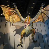 セルレギオスバルーン