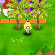 “ウッキー”の恩恵でバナナ大量収穫