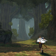 ヴァーグラン森林