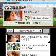 スレマランキング画面