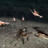 モンスターハンター3(トライ)