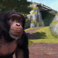 【Xbox One発売特集】Xbox Oneローンチタイトル全29タイトルまとめ