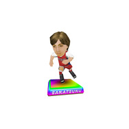 セガネットワークス大抽選会プレゼントアイテム『サカつくシュート』