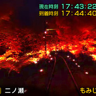 夜間のライトアップされたもみじのトンネルでも走行可能