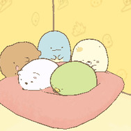 お部屋での様子