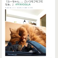 ツイッターより