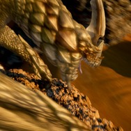 【MH4G特集】ハンターたちを待ち受ける「オオナズチ」や「ウカムルバス」、「戦闘街」を紹介