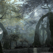 『FF14』初の拡張パッケージ『蒼天のイシュガルド』2015年春に登場！新種族に新ジョブ、レベルキャップ解放など