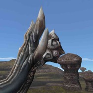 尻尾には貝のような巨大な生物が寄生していた。