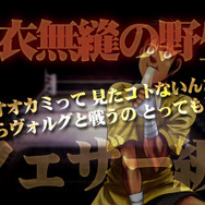 ヴォルグvsウォーリー