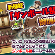 なめこ至上最大の謎…“なめこ”は収穫後どうなるの？ついに明らかに