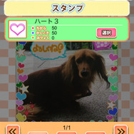 撮影した愛犬をゲーム内で育成し、全国デビューさせるSLG『ワンワンコロネット』サービス開始
