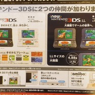 『ポケモン ORAS』大判チラシが配布中！ホウエン地方の全体地図など、イラスト満載