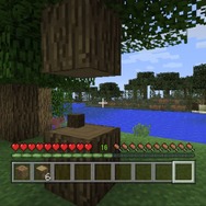 PS Vitaではじめる『マインクラフト』生活―基礎からのステップアップガイド