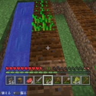 PS Vitaではじめる『マインクラフト』生活―基礎からのステップアップガイド