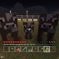 PS Vitaではじめる『マインクラフト』生活―基礎からのステップアップガイド