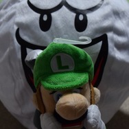 35cmとやや大きい