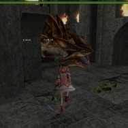 私の「ポチッ」で仲間が“吹っ飛ぶ”『MHF-G』の新コンテンツ「天廊」がカオス